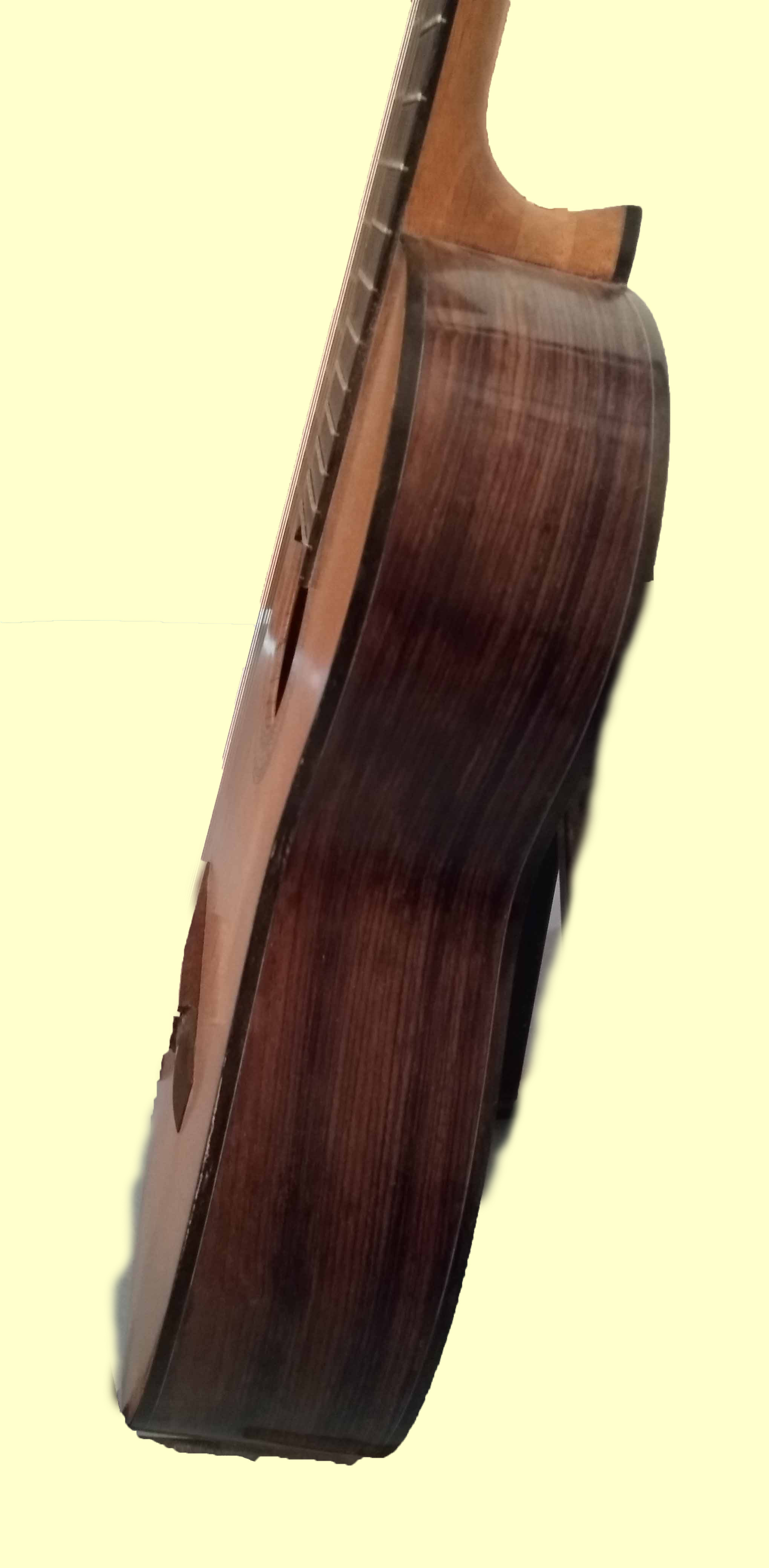 thompson13c side